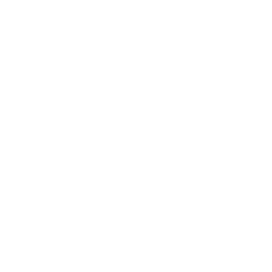 Free Wifi Icon